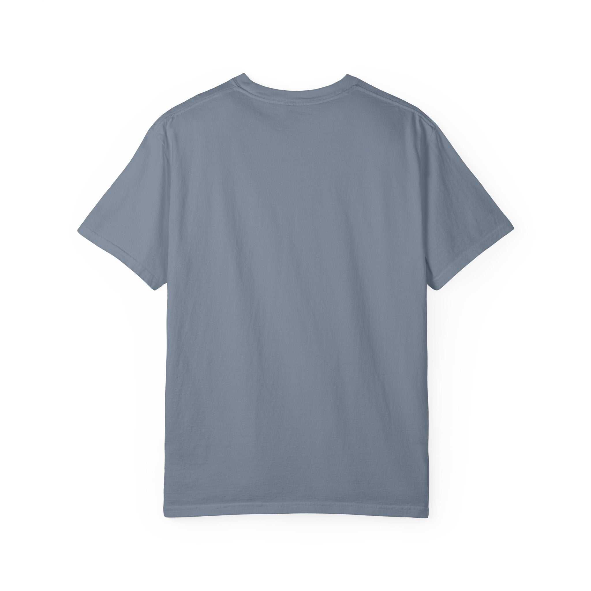 Flying Duck Graphic T-Shirt — Minimal Vintage Nature Tee