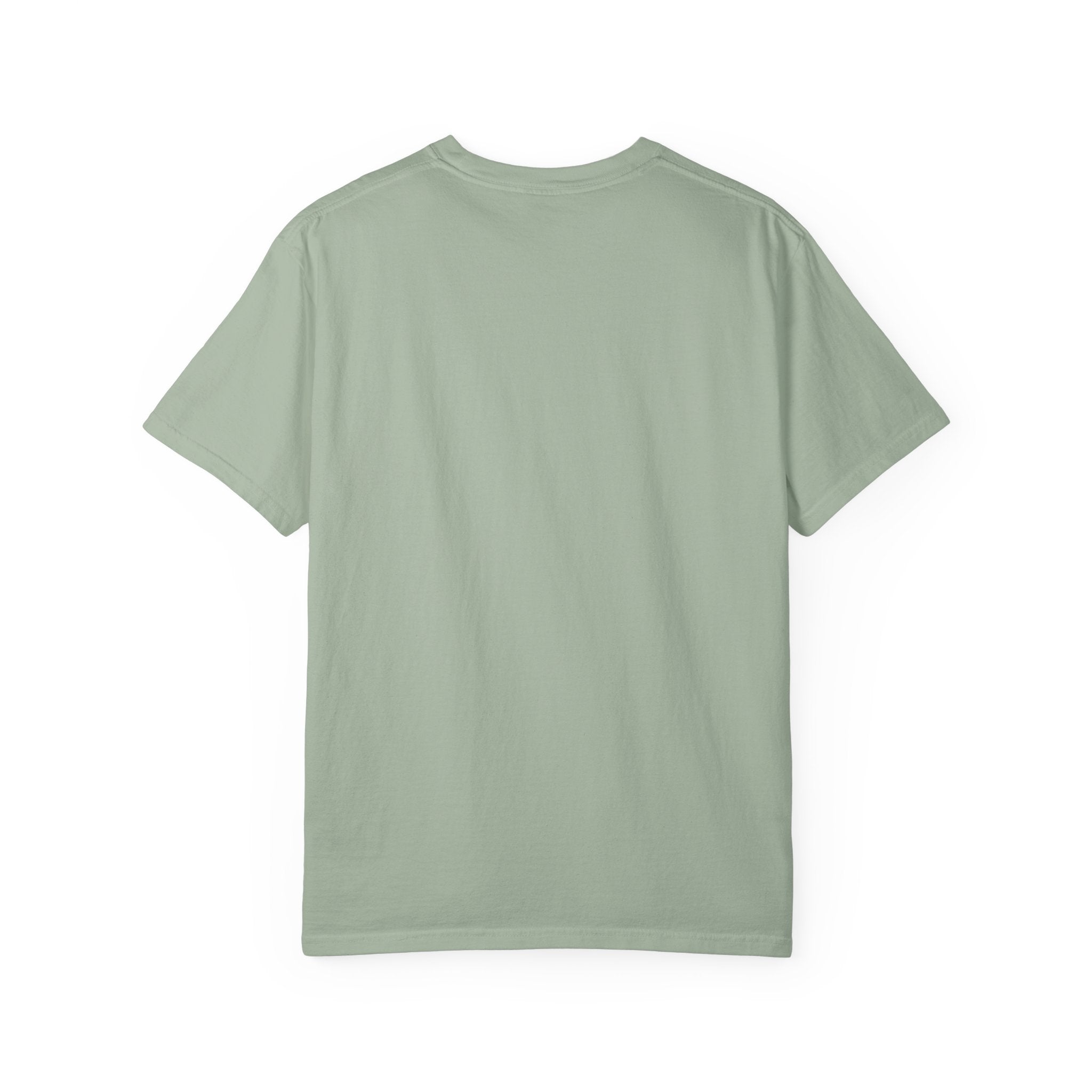 Flying Duck Graphic T-Shirt — Minimal Vintage Nature Tee