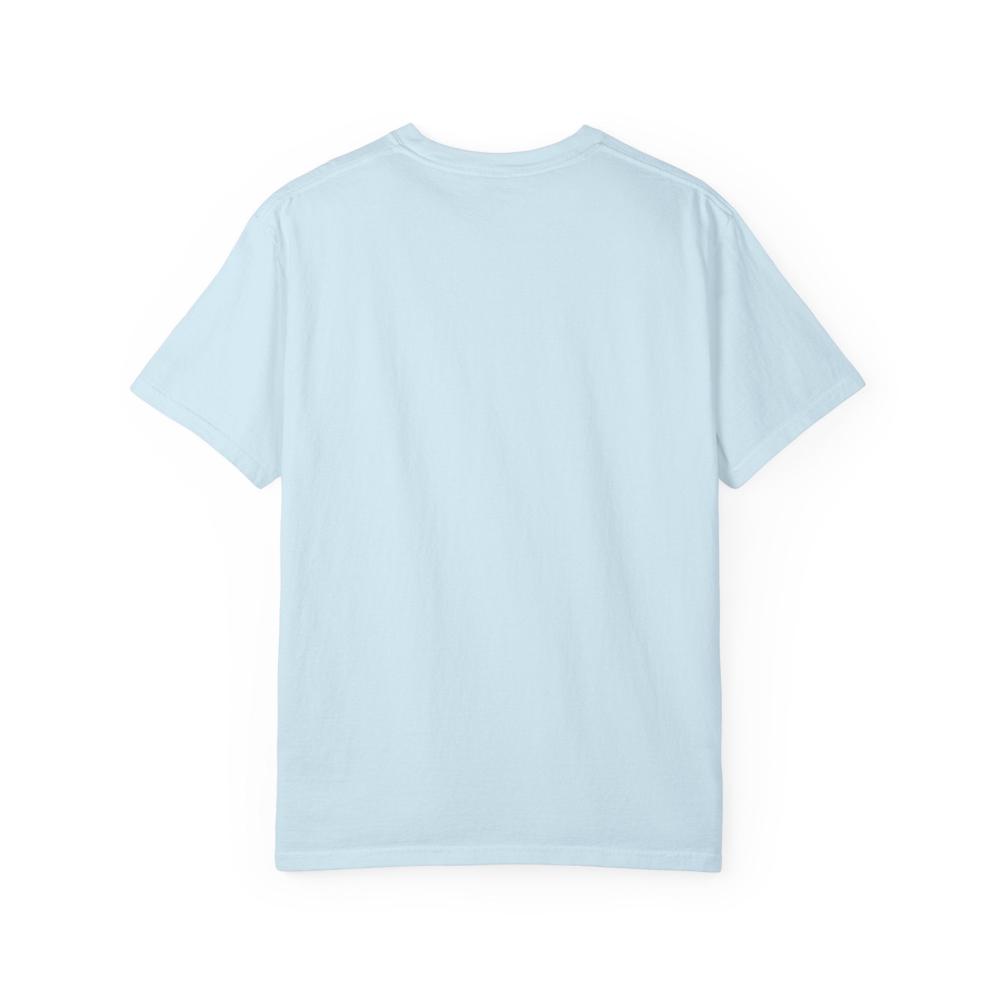 Flying Duck Graphic T-Shirt — Minimal Vintage Nature Tee